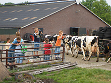 ervaring_polderzicht1.jpg