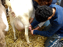 ervaring_ridammerhoeve2.jpg